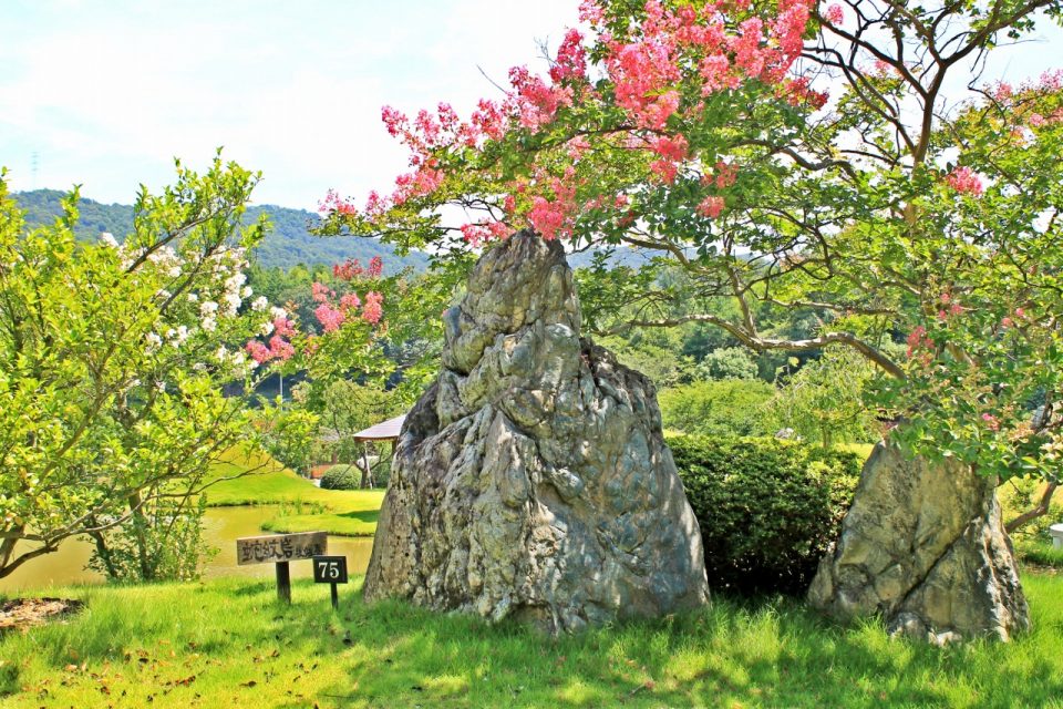 百日紅と蛇紋岩 | 広島の日本庭園・自然石庭公園｜仙石庭園