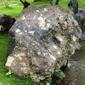 琉球石灰岩（りゅうきゅうせっかいがん）