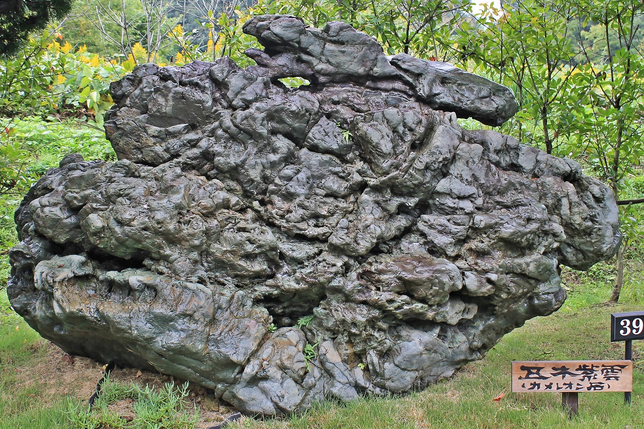 椎葉カメレオン石(しいばカメレオンいし）